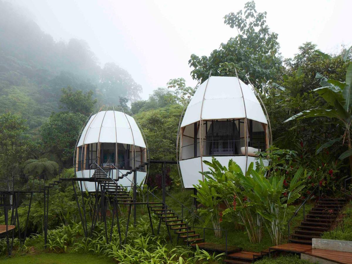 Art Villas Costa Rica, Villas & Glamping Uvita Kültér fotó