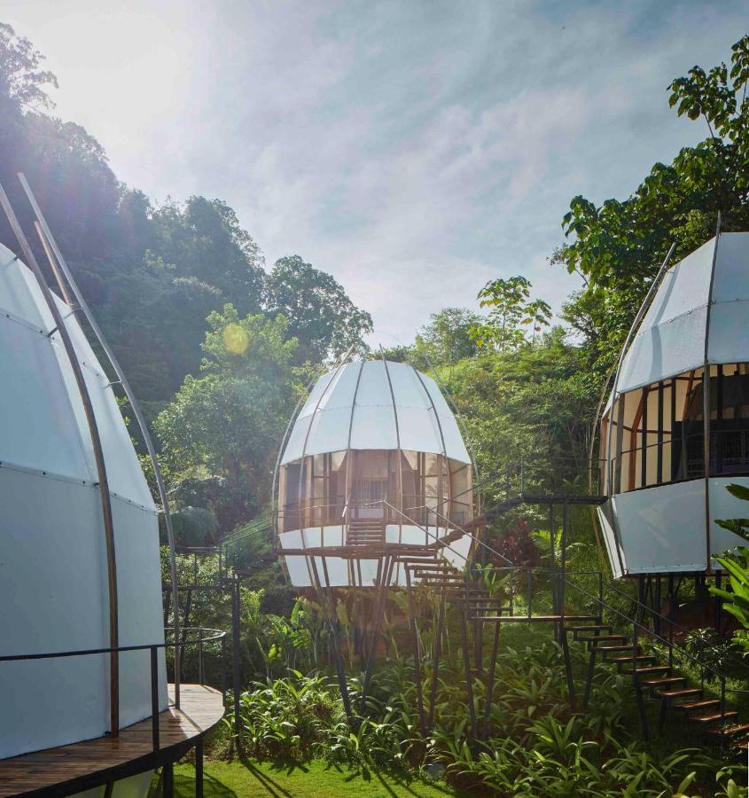 Art Villas Costa Rica, Villas & Glamping Uvita Kültér fotó