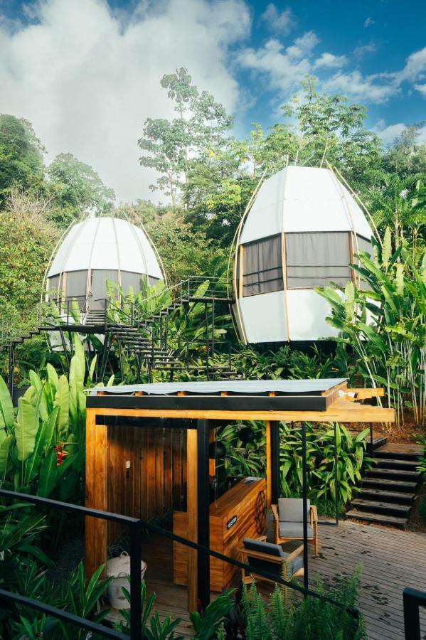 Art Villas Costa Rica, Villas & Glamping Uvita Kültér fotó